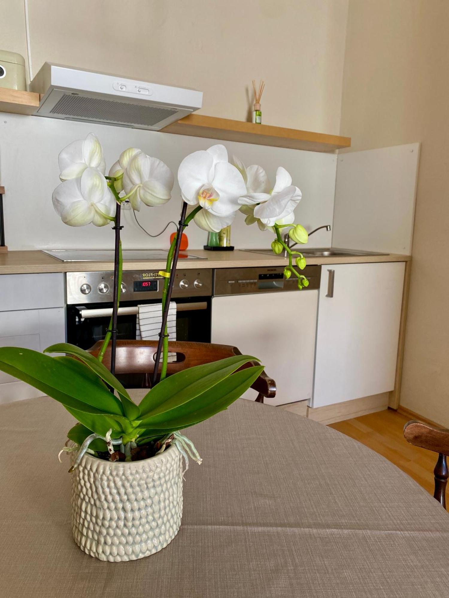Ba Em City Apartment Висбаден Екстериор снимка